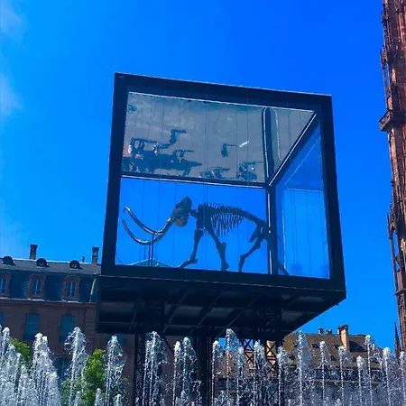 Apartament Le Moment Bleu Strasburg