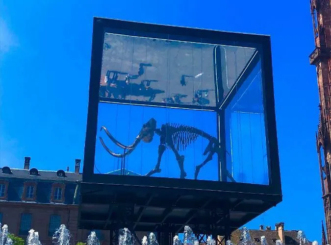 Lägenhet Le Moment Bleu Strasbourg